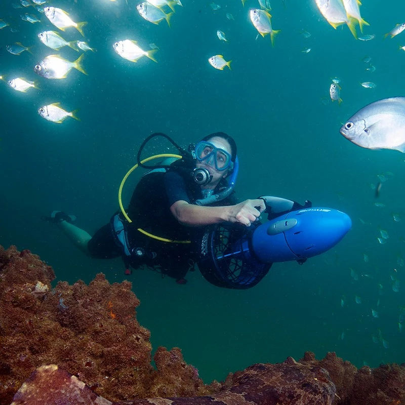 Propulsor Yamaha Seascooter RDS 250 3 Propulsor Yamaha Seascooter RDS 250 - Imagen 3