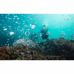 Propulsor Yamaha Seascooter RDS280 -GRE Ventas propulsor yamaha seascooter rds280 buceadores